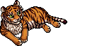 Tigre del Bengala image