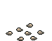 Plumeria Gialla image