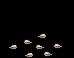 Plumeria Rosa image