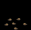 Primula Gialla image