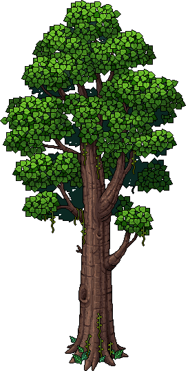 Antico Albero di Capoc image
