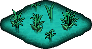 Laguna Tropicale image