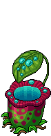 Pianta Carnivora image