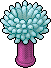 Anemone image