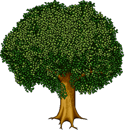 lidotree1 name image