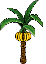 Banano image
