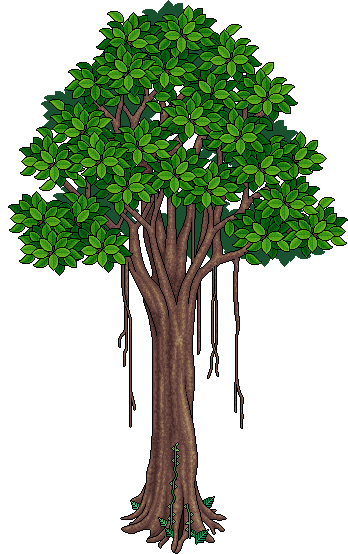 lt_c26_banyantree name