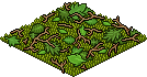 lt_c26_jungleleaffloor name