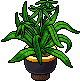 mafia_c26_planter_dark name