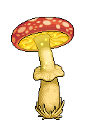 Fungo Alto image