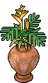 Strelitzia Ocra