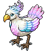 Pollo Arcobaleno della Foresta image
