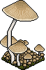 nft_eco_mush1 image