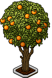 nft_eco_tree1 name image