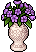 Amaryllis Viola image