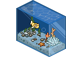 Acquario del Pesce Palla