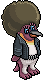 Pinguino Disco image
