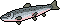 Salmone image