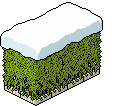 Siepe Innevata image