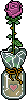 Rosa Rosa image