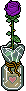 Rosa Viola image