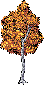 Autumn Aspen