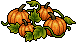 Pumpkin Vines