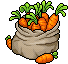 Sack of Carrots