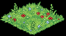 Freshly Cut Grass