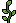 Small Saplings