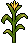 Growing Corn Stalks