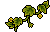 Growing Pumpkin Vines
