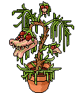 Audrey III image