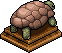 Tartaruga Beige image