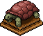 Tartaruga Marrone image