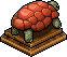 Tartaruga Arancione image
