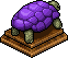 Tartaruga Malva image