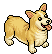 Corgi Reale image