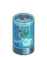 Acquario Marimo image