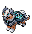 Australian Shepherd image