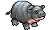 Ippopotamo Pigmeo image