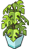Piantina Aromatica (non scambiabile) image