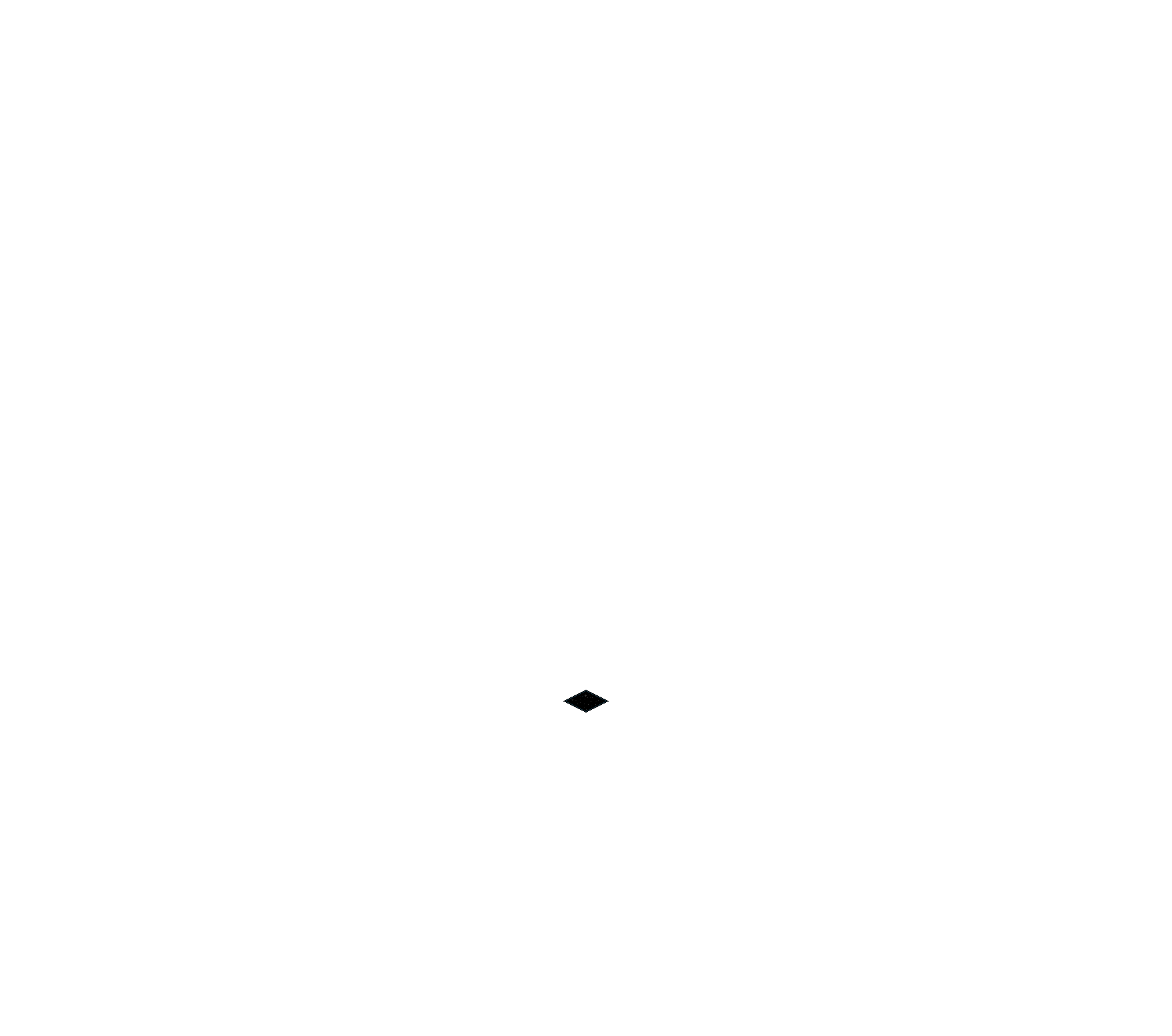 Notte Stellata image