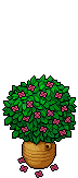 Vegetazione Santorini image