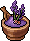 Sale di Lavanda image