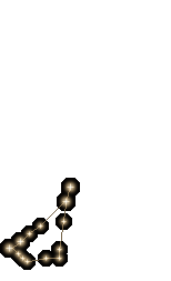 Costellazione Capricorno