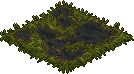 survival_c26_burntgrass name