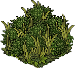 survival_c26_foliagefloor name