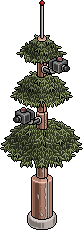 survival_c26_surveillancetree name
