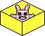 test_ltd name image